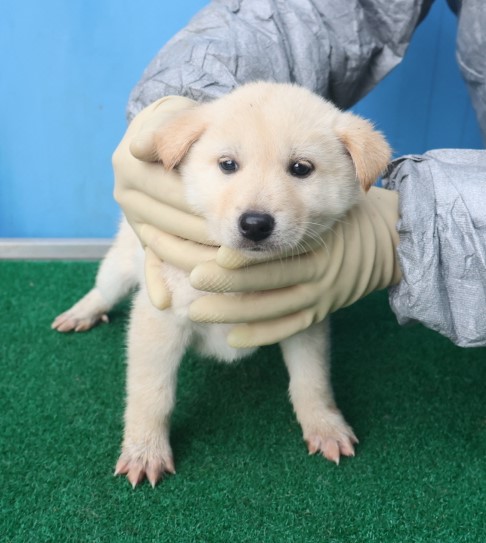 제주 동물보호센터_450650202403616