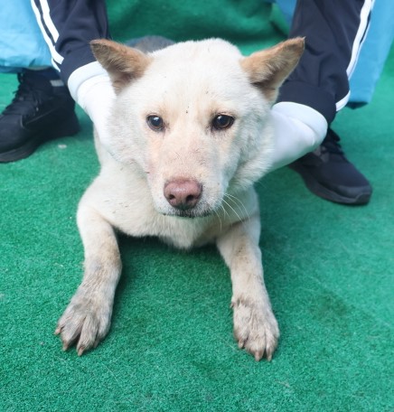 제주 동물보호센터_450650202403625