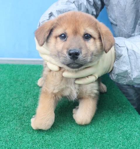 제주 동물보호센터_450650202403627