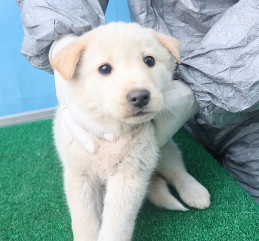 제주 동물보호센터_450650202403619