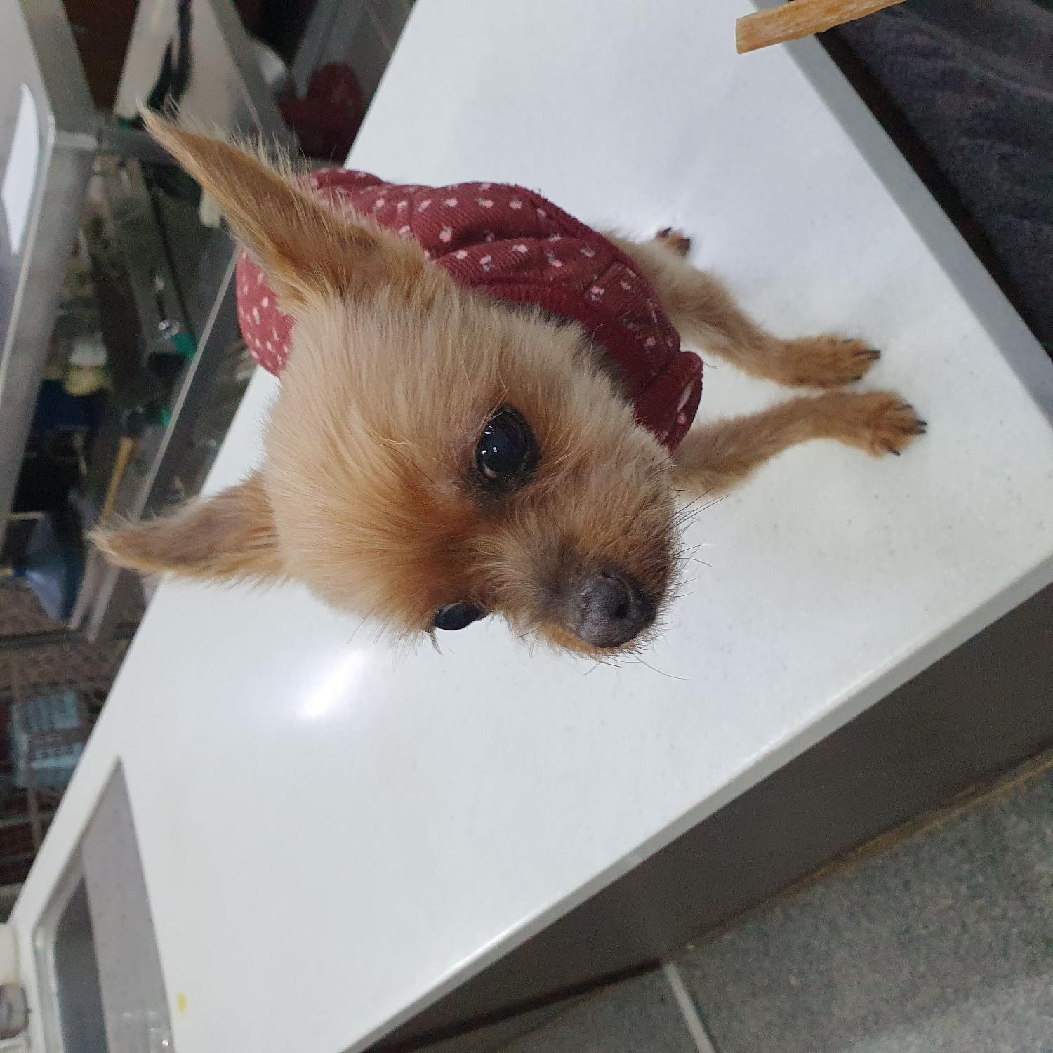 금강동물병원_427346202401360