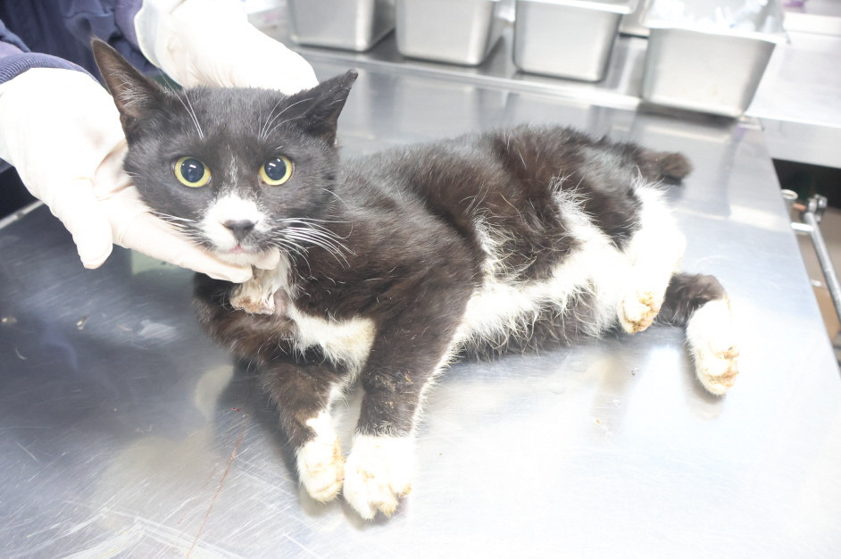 종료(방사) 한국 …