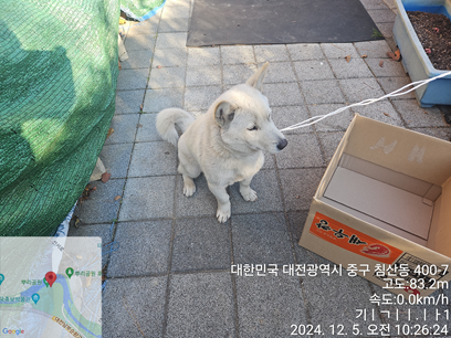 대전동물보호센터_430365202400604