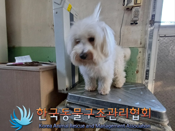 종료(반환) 꼬똥 …