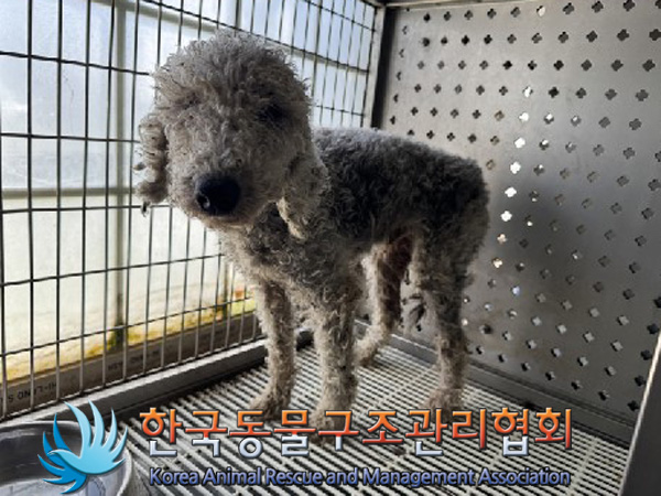 한국동물구조관리협회_441406202402187