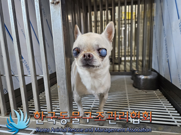 한국동물구조관리협회_411305202400861