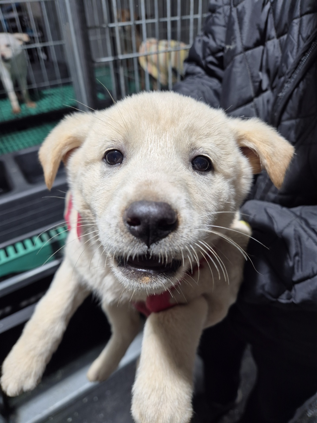 남양동물보호센터_441553202404132