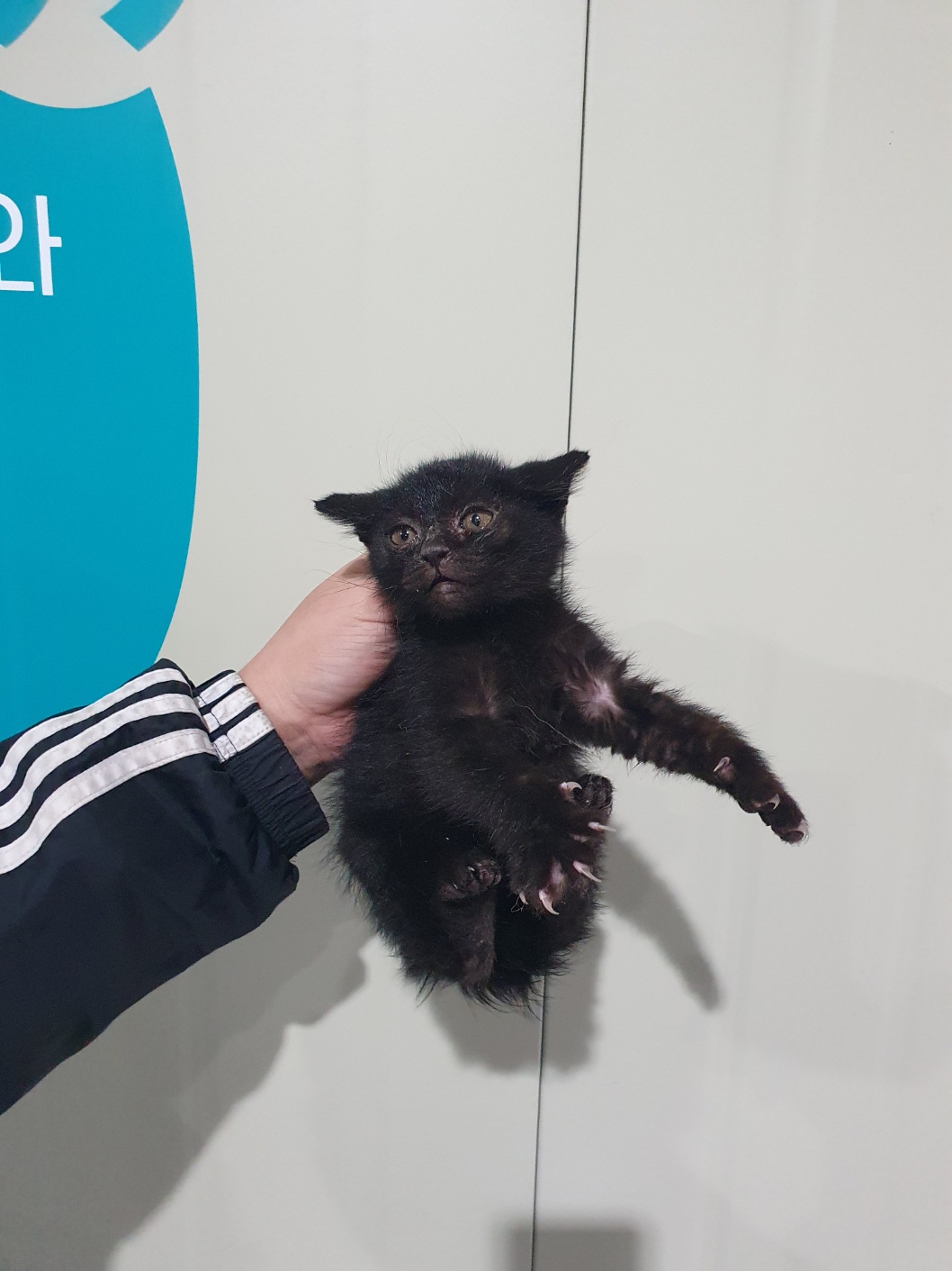 부산동물보호센터_426332202400771