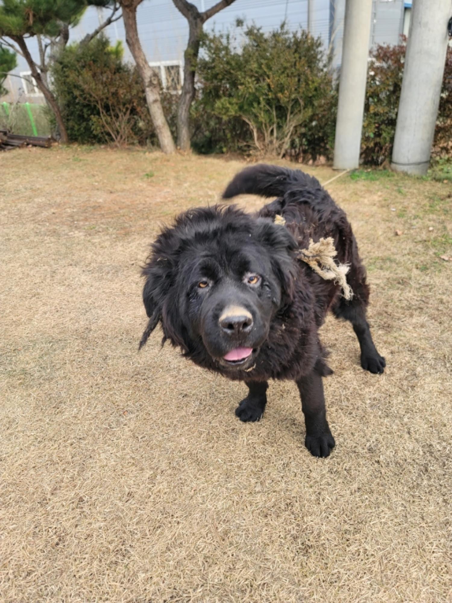 괴산증평동물보호센터_443446202400511