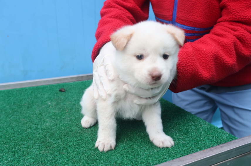 제주 동물보호센터_450650202403633