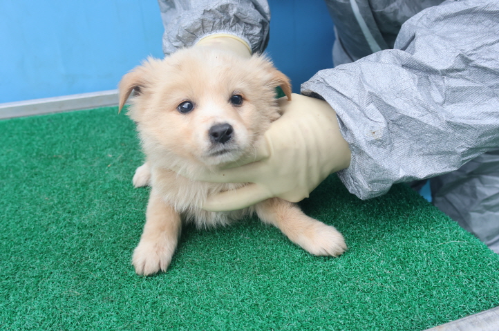 제주 동물보호센터_450650202403640