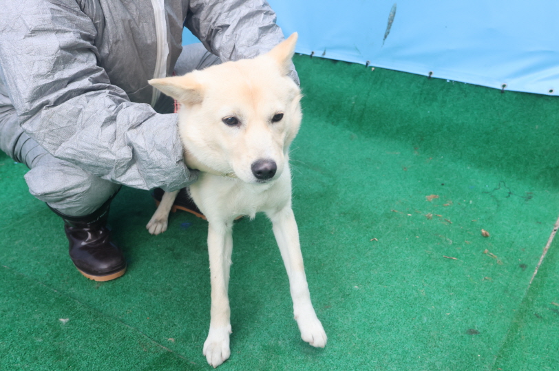 제주 동물보호센터_450650202403637