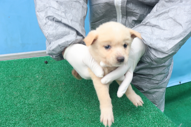 제주 동물보호센터_450650202403642