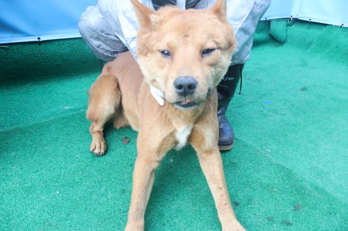 제주 동물보호센터_450650202403644
