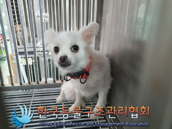 한국동물구조관리협회_411311202401023