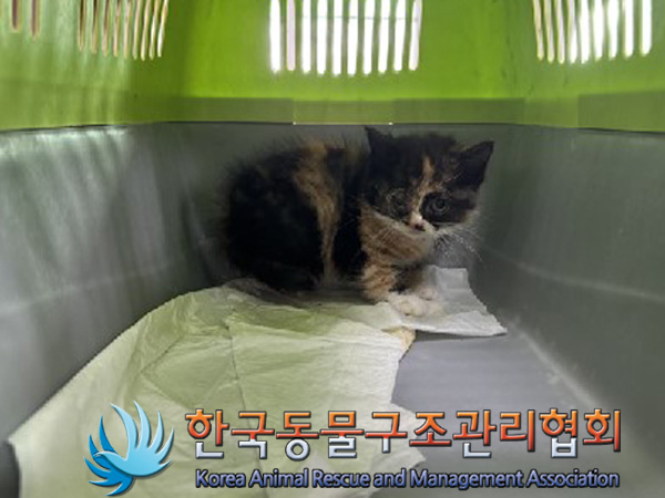 한국동물구조관리협회_441559202401413