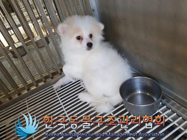 한국동물구조관리협회_441406202402188