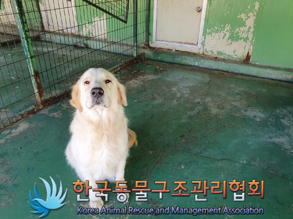 한국동물구조관리협회_441406202402190