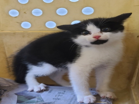 종료(반환) 한국 …