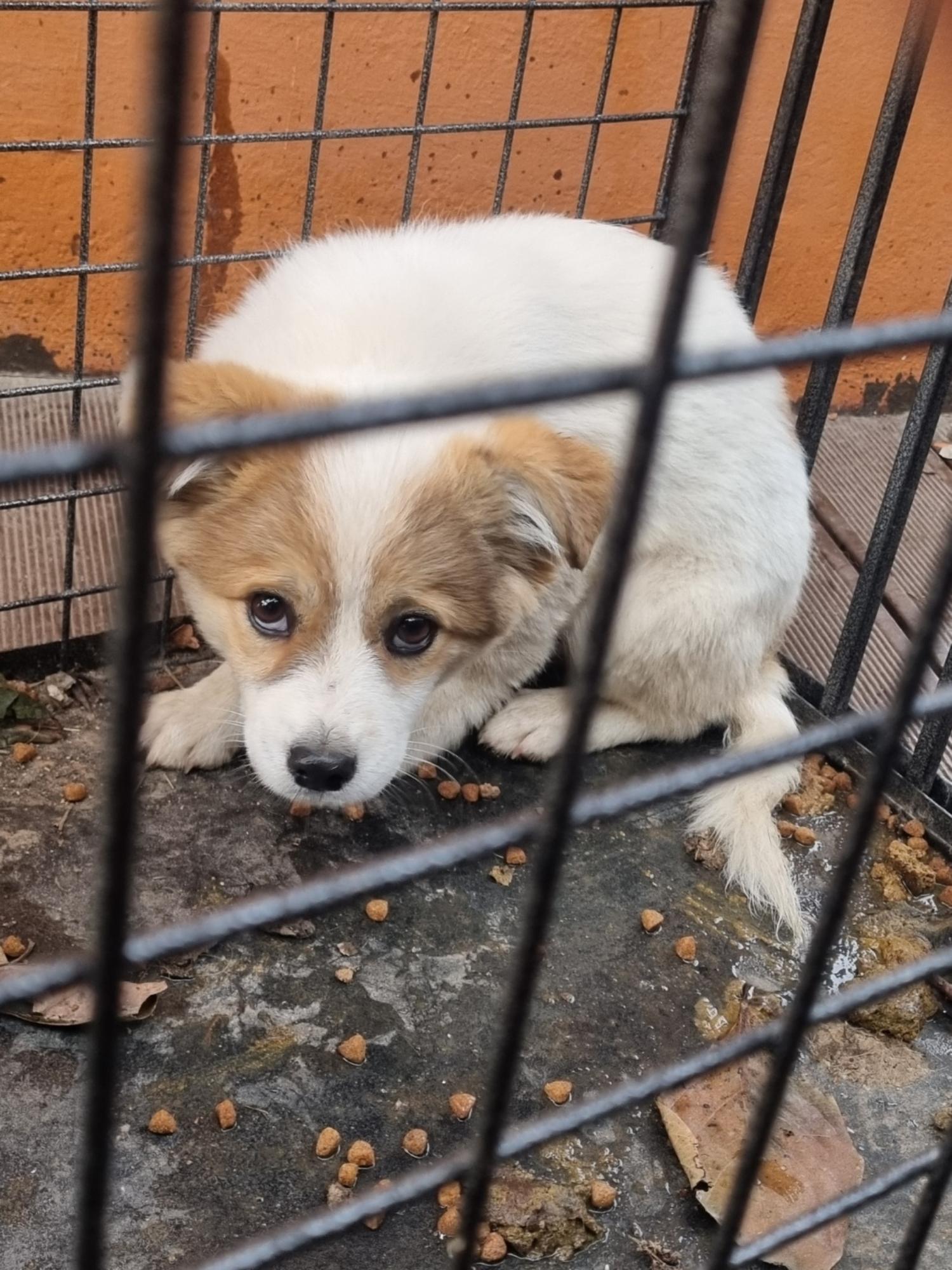 전북말산업복합센터_445471202400759