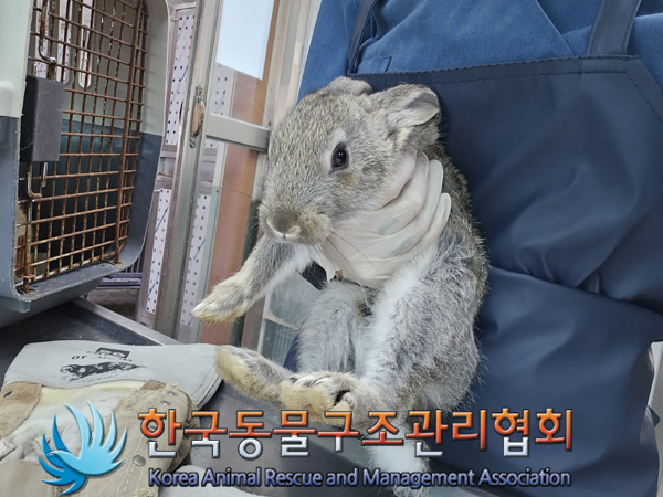 한국동물구조관리협회_411316202400924