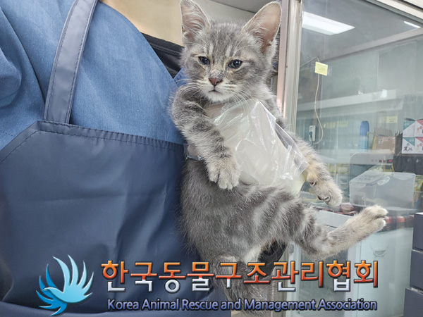 종료(자연사) 브리…