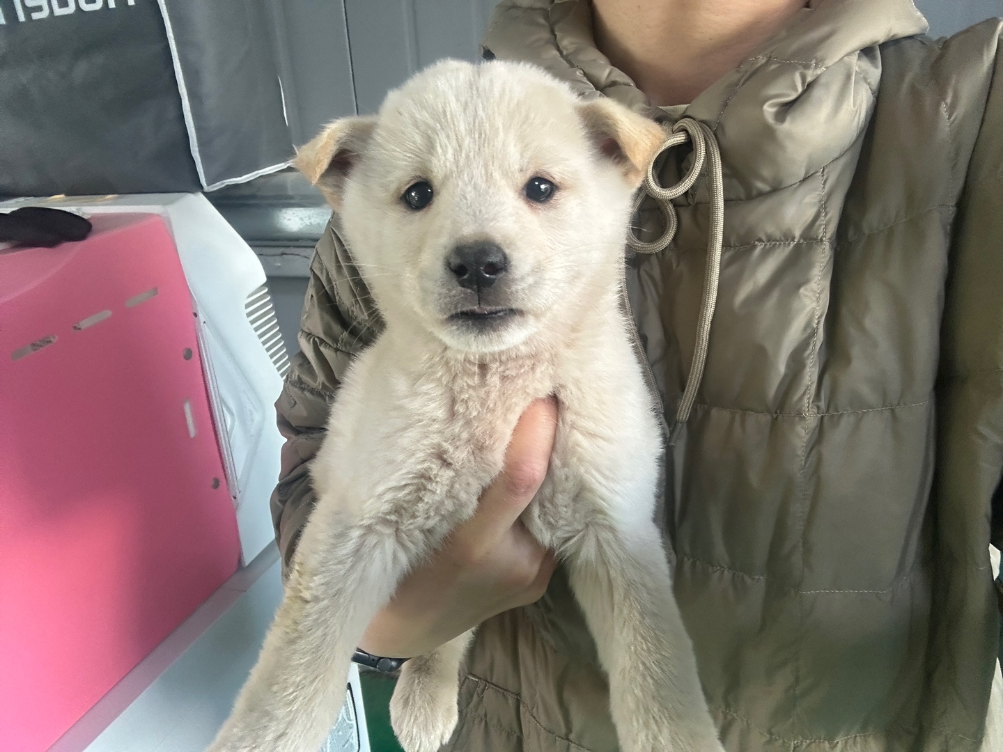 한국야생동물보호협회_441383202400689