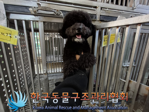 한국동물구조관리협회_411315202400691