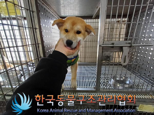 한국동물구조관리협회_411315202400692