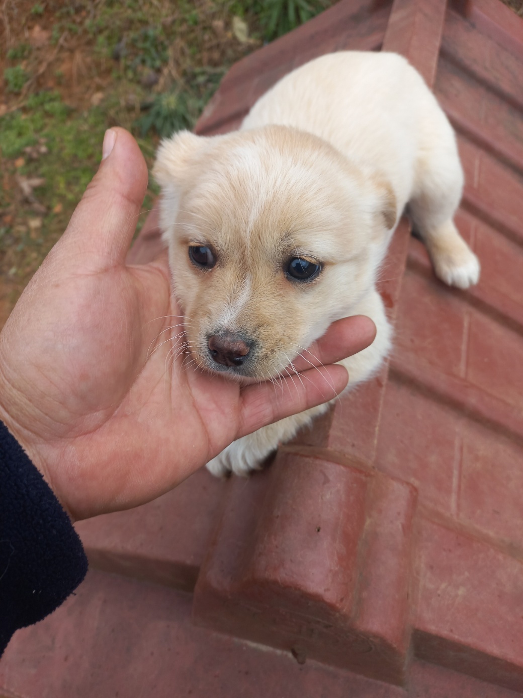 태안 동물보호소_444462202401152