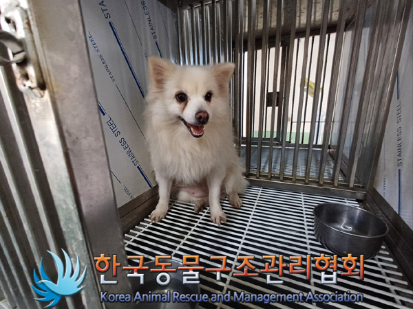 한국동물구조관리협회_411309202400480