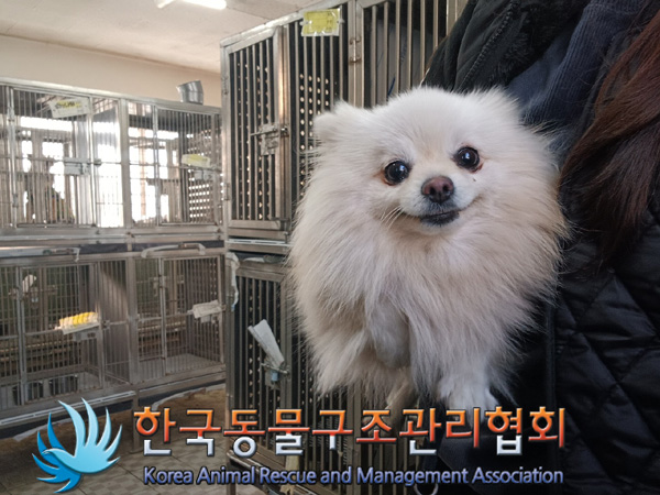 한국동물구조관리협회_411318202400564