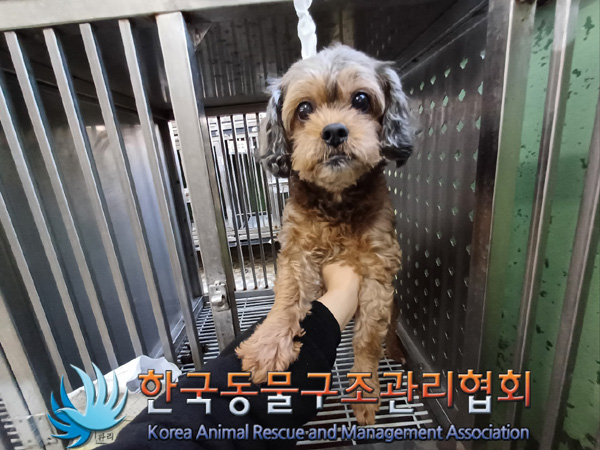 한국동물구조관리협회_411311202401024