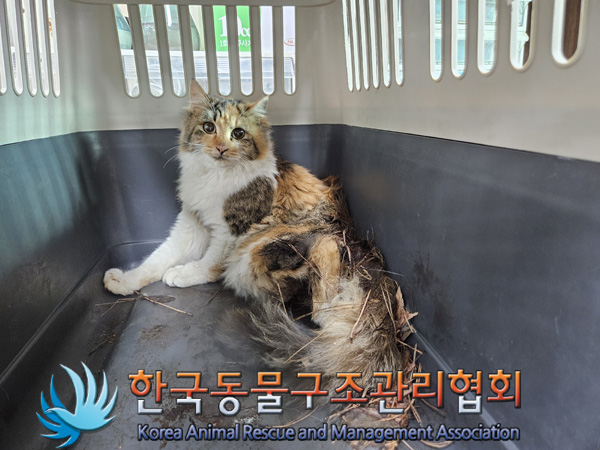 한국동물구조관리협회_441559202401414