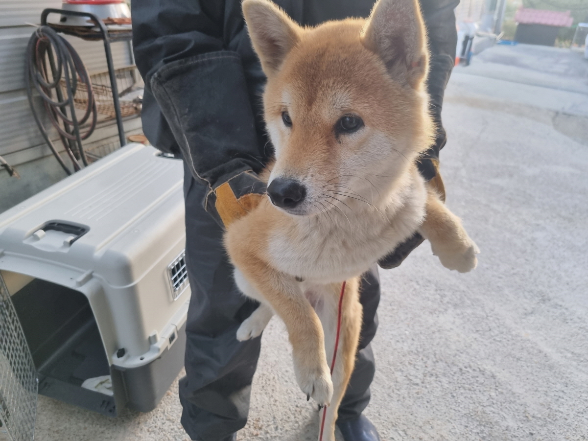 양산시 동물보호센터_448538202400837
