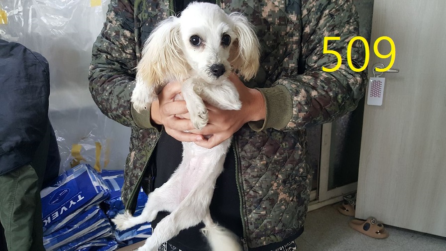 신영재동물병원_428355202400881