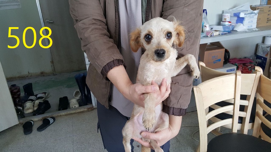 신영재동물병원_428355202400880