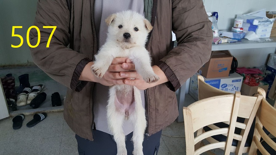 신영재동물병원_428355202400879