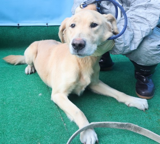 제주 동물보호센터_450650202403664