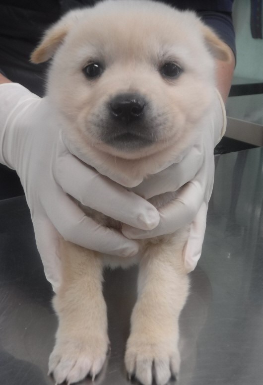 제주 동물보호센터_450650202403656