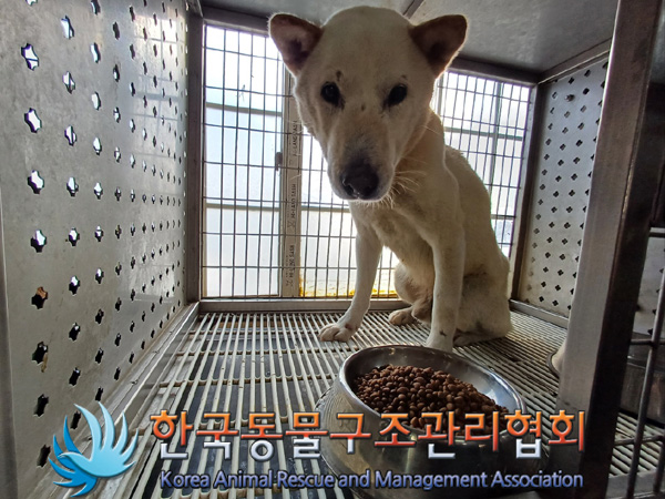 한국동물구조관리협회_441406202402196