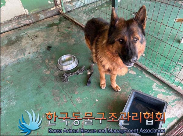 한국동물구조관리협회_441406202402197