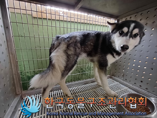 한국동물구조관리협회_441406202402191