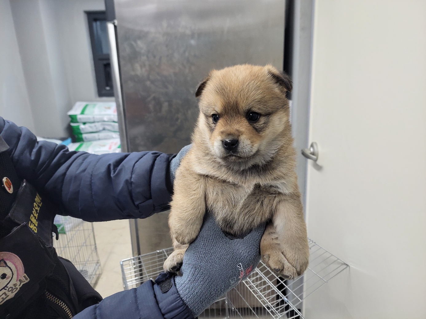 고양시동물보호센터_441394202402550