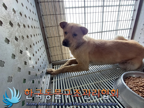한국동물구조관리협회_441560202401435