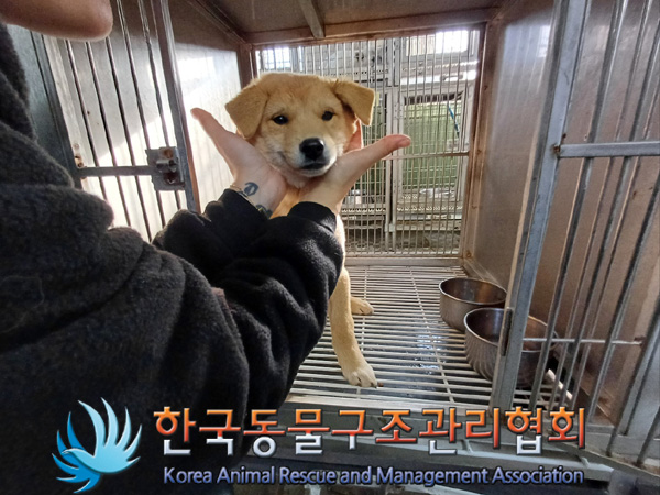 한국동물구조관리협회_441560202401438