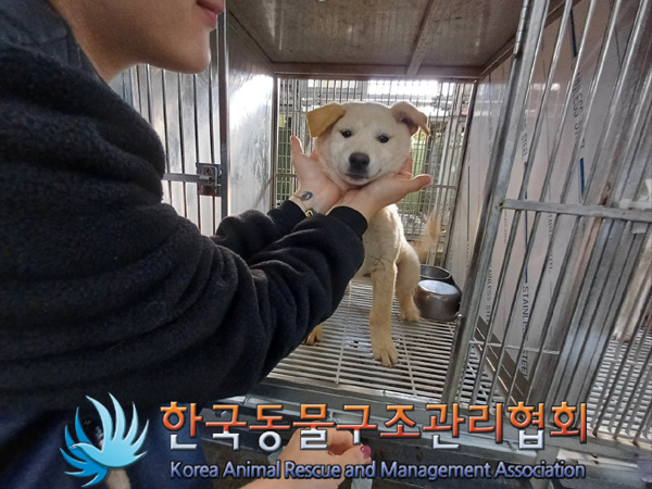 한국동물구조관리협회_441560202401437