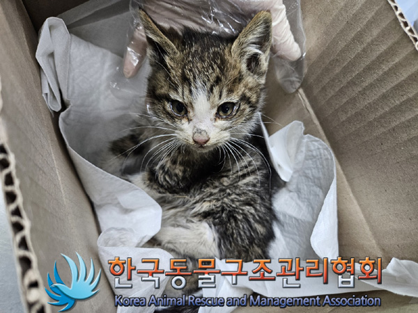 한국동물구조관리협회_441560202401439