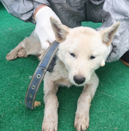 제주 동물보호센터_450650202403684