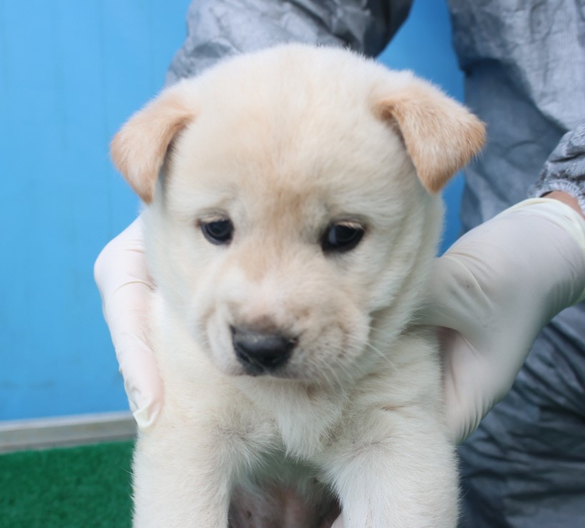제주 동물보호센터_450650202403687
